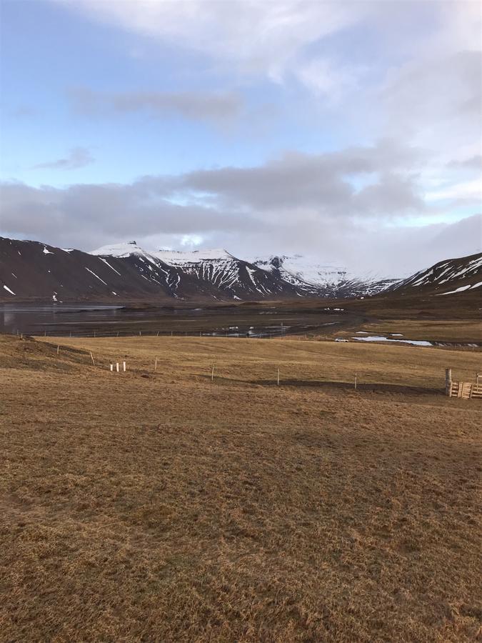 Eithi Farmhouse Grundarfjordur Kültér fotó